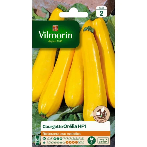 Graines de Courgette Orélia HF1 Vilmorin - graines à semer