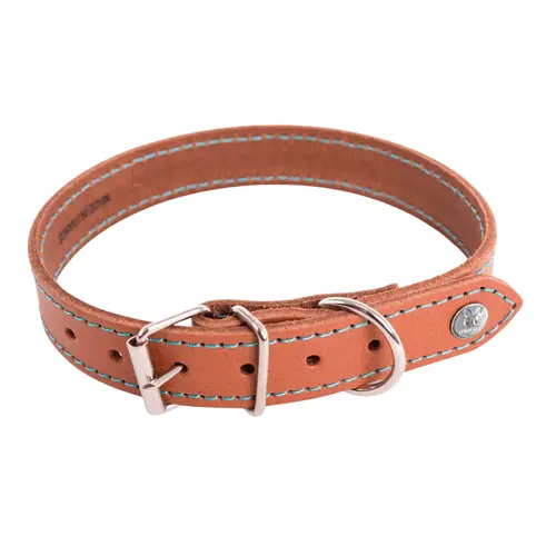 Collier pour chien en cuir coloris cognac turquoise Martin Sellier Flash - taille 35/75