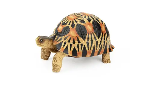Décoration pour terrarium coloris multicolore en résine figurine tortue Terratlantis - 12,5 x 8,5 x 7 cm