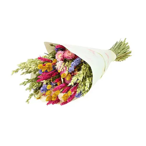 Bouquet de fleurs séchées Naturalys Dandy mix couleur - Ø 25/30 x H 50 cm