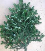 Branche de sapin Nordmann vert pour décoration de Noël - 100/120 cm