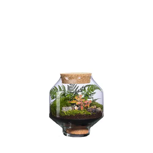 Terrarium autonome Solu M botanic® - Ø 17 x 20 cm
