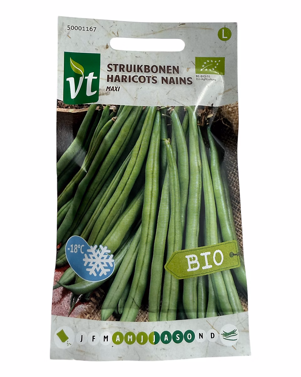 bio Haricots Nains Maxi – Ca. 25 gr