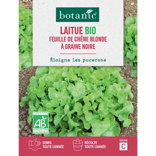 Graines de laitue feuille de chêne blonde à graine noire bio botanic® - graines feuille semer