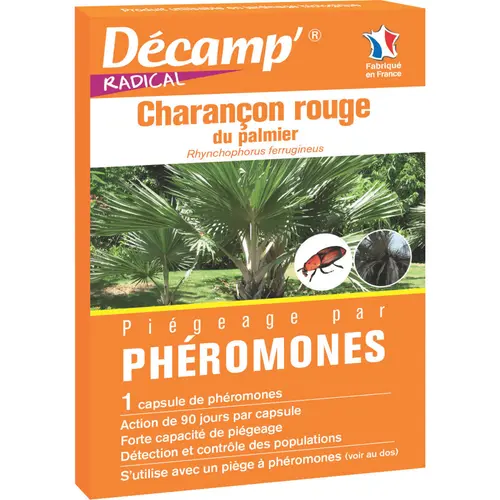 Piégeage par phéromones anti charançon rouge du palmier Décamp