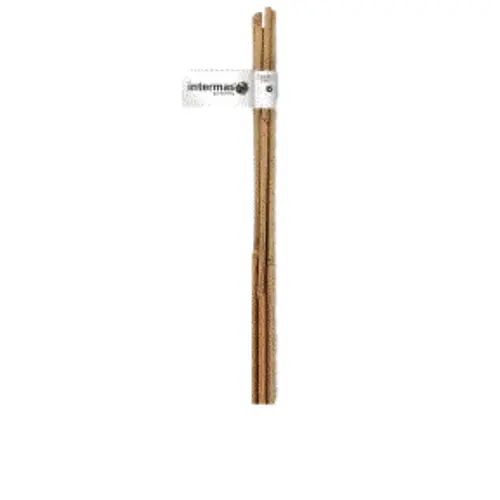 Tuteur bambou naturel coloris beige Ø 16/18 mm x 2,10 m