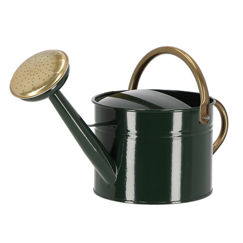 Arrosoir vert et or avec 2 anses