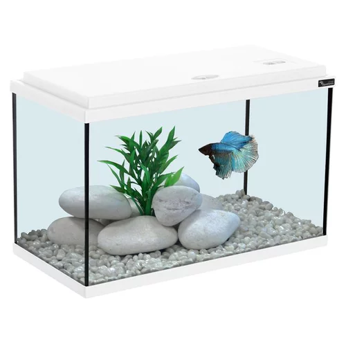 Aquarium coloris blanc 20L - 40 x 20 x 25 cm