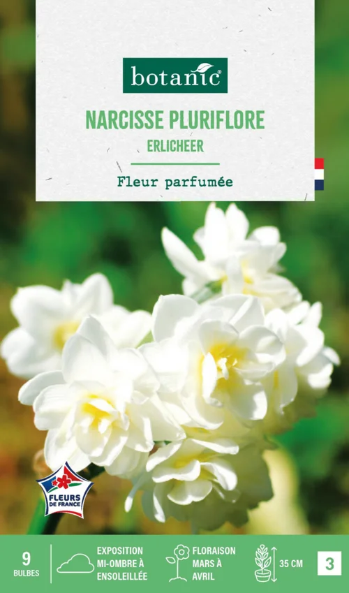 Narcisse pluriflore botanic® - 9 bulbes