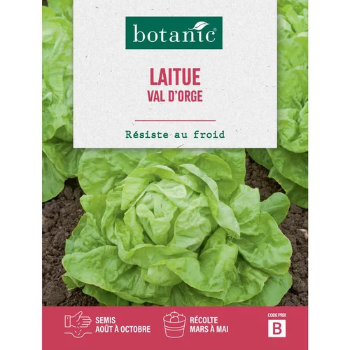 Graines de laitue val d'orge botanic® - graines à semer