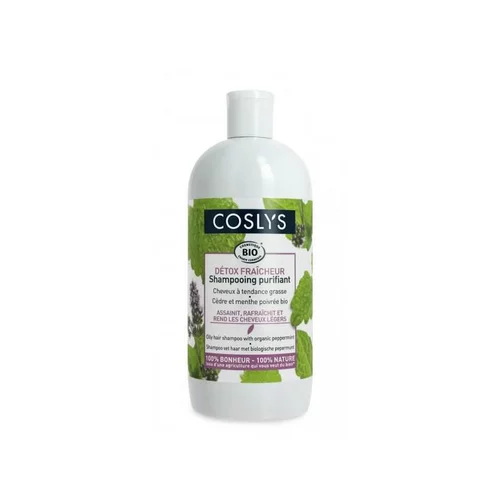 Shampoing cheveux gras 500 ml