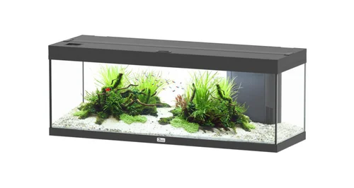 Aquarium coloris noir Aquatlantis Prestige LED 2.0 170 L - 120 x 40 x 45 cm