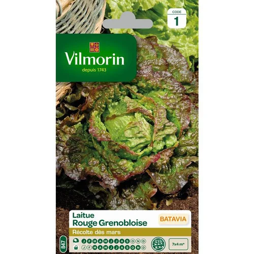 Graines de Laitue Batavia rouge grenobloise Vilmorin - graines à semer
