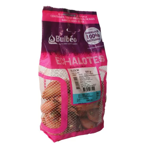 Échalote elisor filet de 500 g calibre 15 à 35