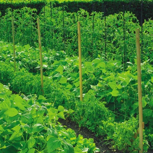 Filet à ramer coloris vert 1x5 m