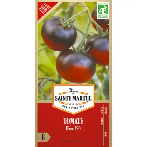 Sachet de graines de tomate bleue - 50 graines
