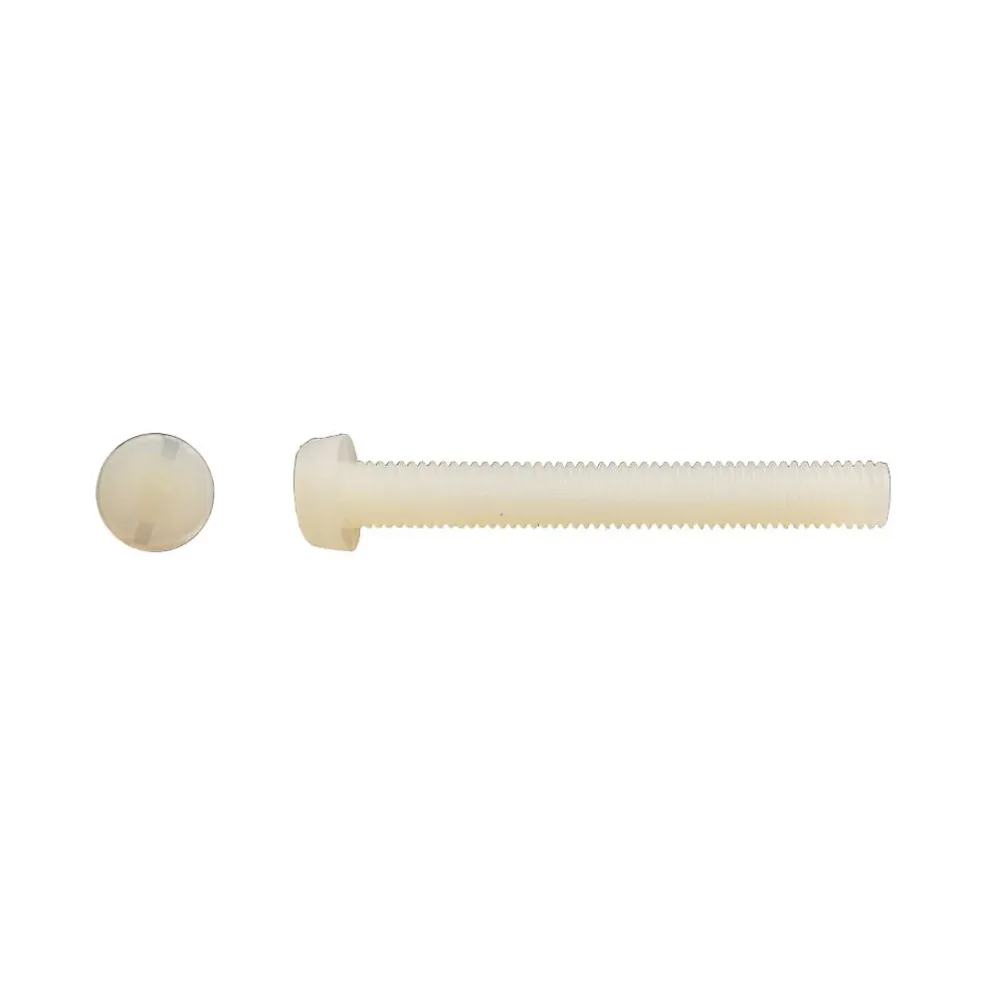200 Vis Métaux Tête Cylindrique Fendue 3 × 20 mm | DIN 84 – Polyamide – D – Work