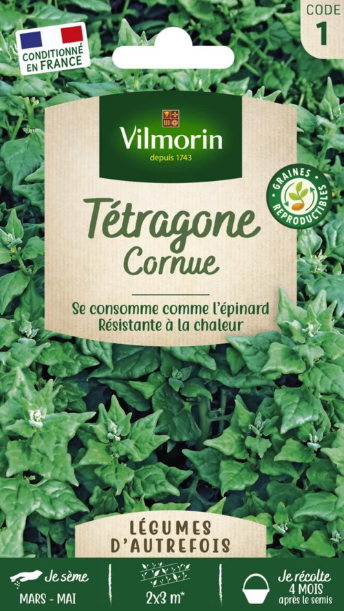 Tétragone Cornue Vilmorin - graines à semer