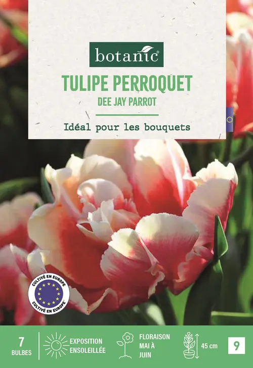 Bulbes de fleurs Tulipe perroquet Deejay Parrot rouge botanic® - 7 bulbes