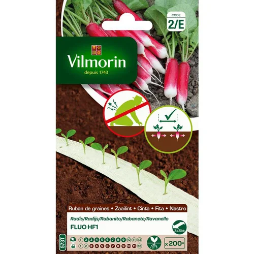 Ruban de Radis Fluo HF1 Vilmorin