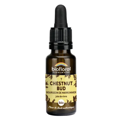 Élixir n°7 Biofloral de bourgeon de marronnier en flacon de 20 ml