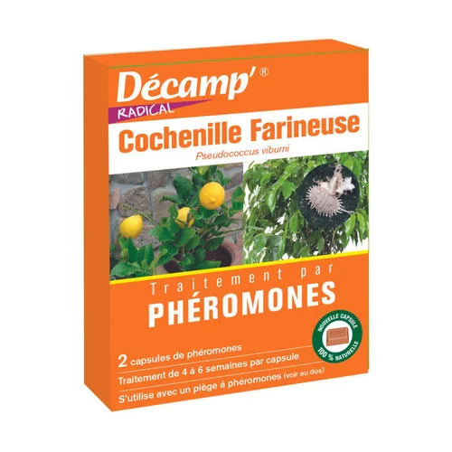 Phéromone pour cochenille farineuse x 2