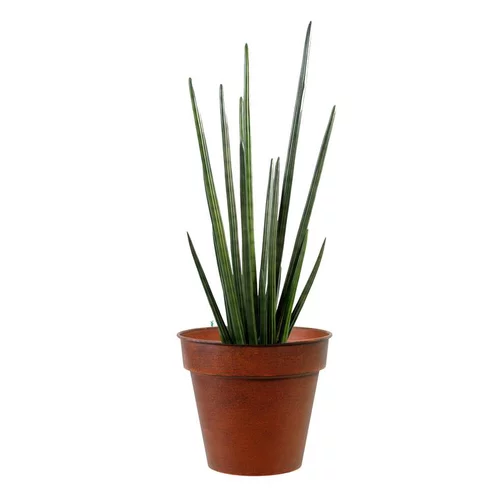 Pot horticole en acier peint brun antique Ø 19 x H 17 cm