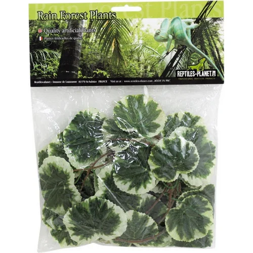 Plantes artificielles pour terrarium en soie coloris vert Reptile Planet Congo Jungle Vine - 2,6 M