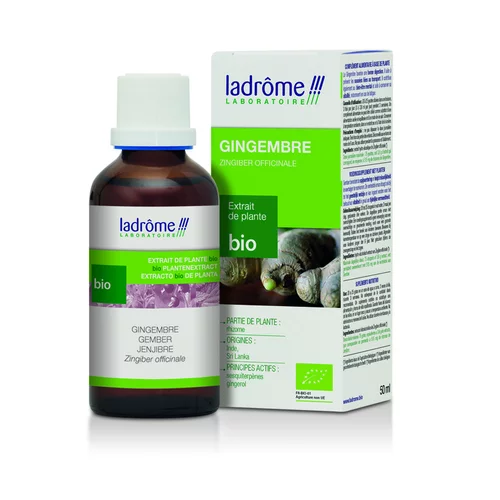 Gingembre extrait de plantes fraîches bio Ladrôme - 50 ml