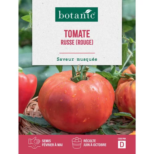 Graines de tomate russe botanic® - graines à semer