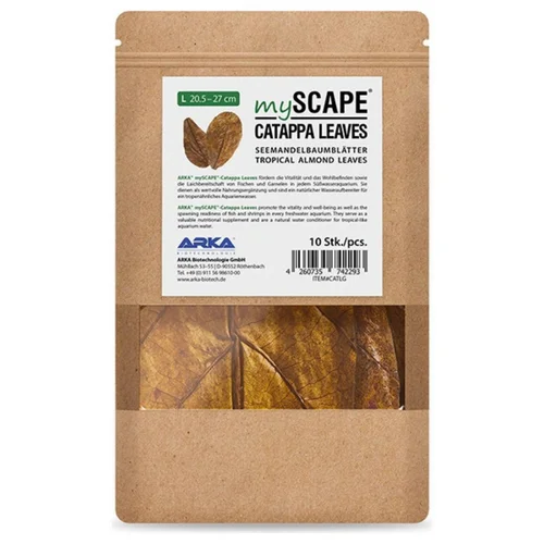 Feuilles de badamier taille L - ARKA mySCAPE-Catappa - 20,5/27cm - 10 pièces