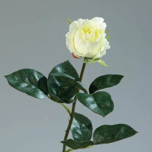 Rose colombienne artificielle coloris crème