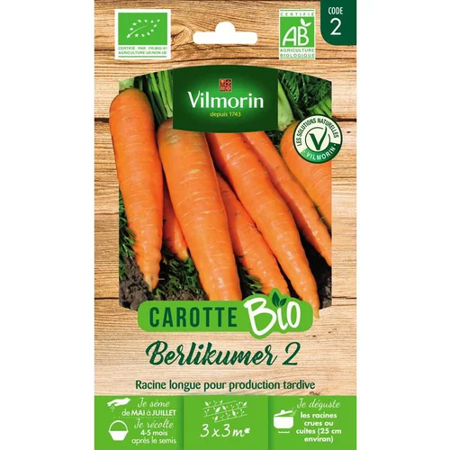 Graines de carotte berlikumer 2 Vilmorin - graines à semer