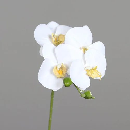 Orchidée tige crème artificielle Real Touch - 66 cm