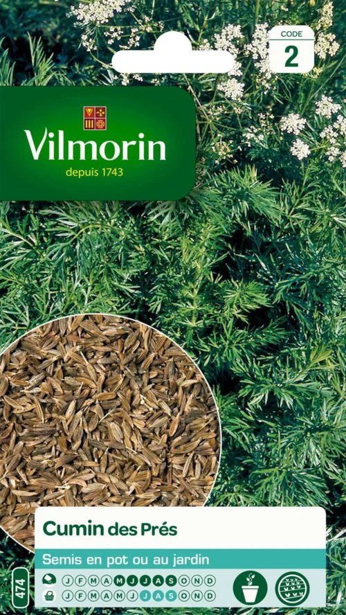 Cumin des Près Vilmorin - graines à semer