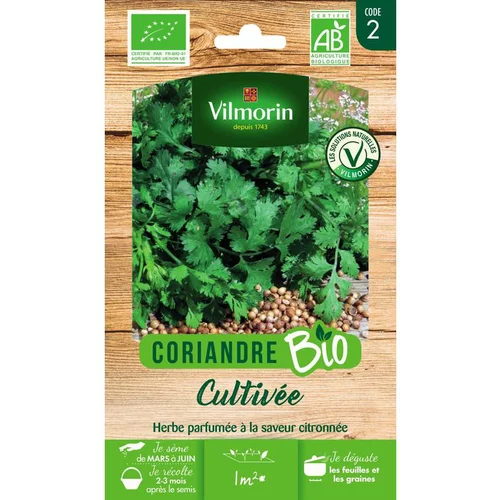 Graines de coriandre bio Vilmorin - graines à semer