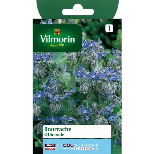 Bourrache Officinale Vilmorin - graines à semer
