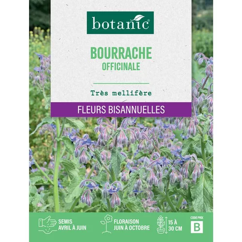Graines de fleurs de Bourrache officinale botanic®