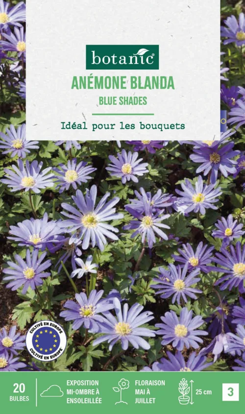 Anémone blanda blue shades en mélange botanic® - 20 bulbes