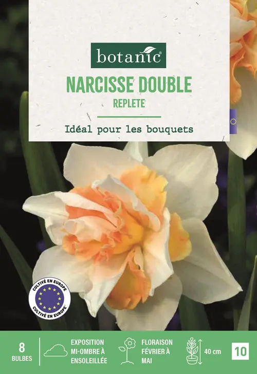 Bulbes de fleurs Narcisse double Replete blanc et orange botanic® - 8 bulbes