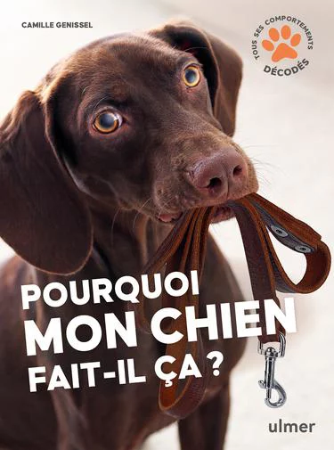 Livre Pourquoi mon chien fait-il ça ? Aux Éditions Ulmer - 96 pages
