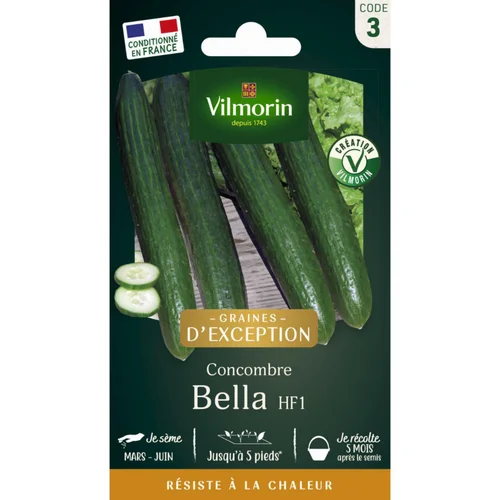 Sachet de semences potagères graines de concombre bella