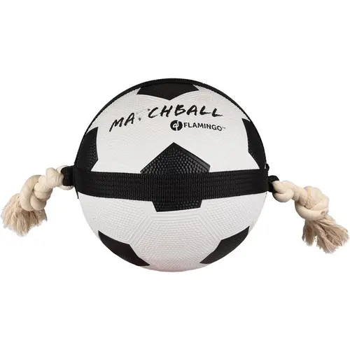 Jouet pour chien Flamingo Actionball foot - Ø 22 cm
