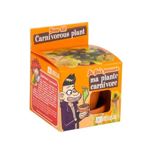 Kit Plantes carnivores avec pot et coupelle terre cuite Ø8 cm (Âge minimum 3 ans)