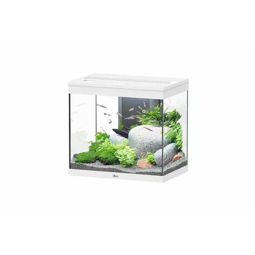 Aquarium équipé Splendid blanc - 109L