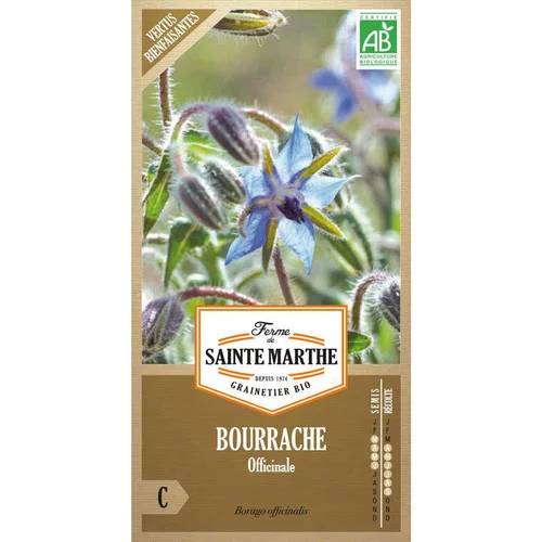 Graines de bourrache officinale bio Ferme de Sainte Marthe - graines à semer