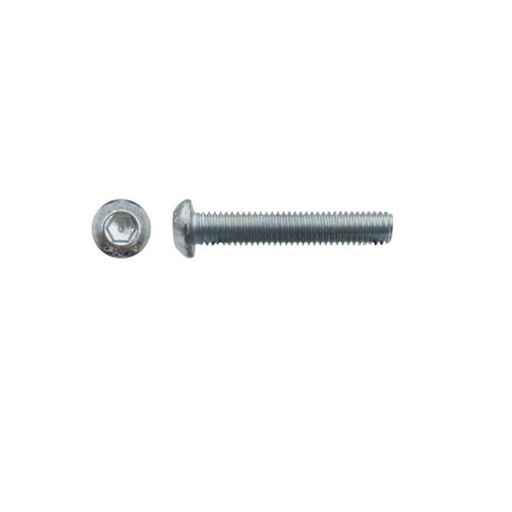 100 Vis Métaux Tête Bombée 6 Pans Creux F/Total BHC 8 × 25 mm – 7380-1, 10.9, Zingué blanc, D-Work