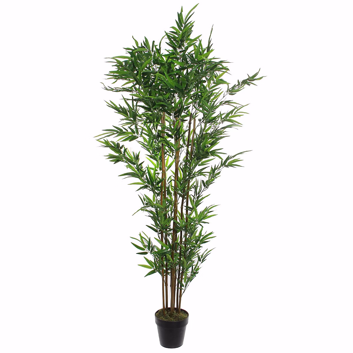 Bambou artificiel en pot vert ø60 x h.180 cm – Réf. WTBZGPYSE8845350334
