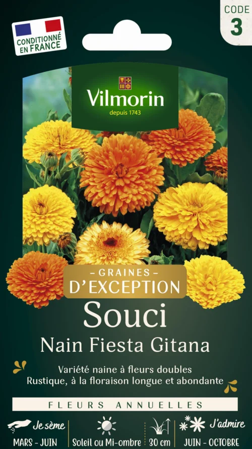 Souci Nain Fiesta Gitana Vilmorin - graines à semer