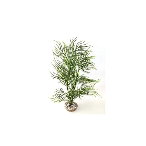 Asparagus vert en plastique 33 cm